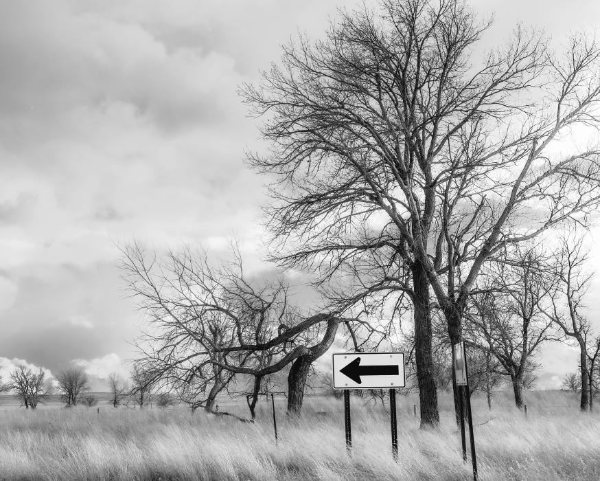 The signs are all there for a great 2025!!! Sure, there have been struggles in 2024 - which is true when reflecting back on any year gone by. However, there are many wonderful things to look forward to after days switch to months, and finally flip over to a new year. A blank slate awaits your hopes, dreams, and dedication. Prayers that your signs are all pointing in the right direction as the new year is ushered in! Photo by Laura Vroman