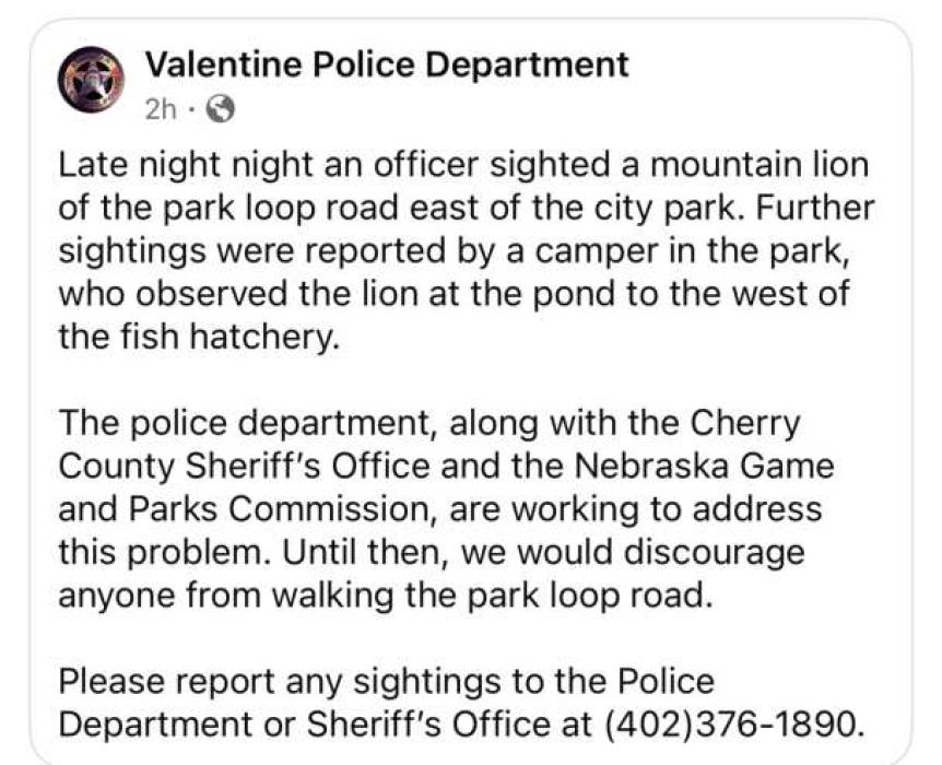 Mountain lion sighting near Valentine City Park