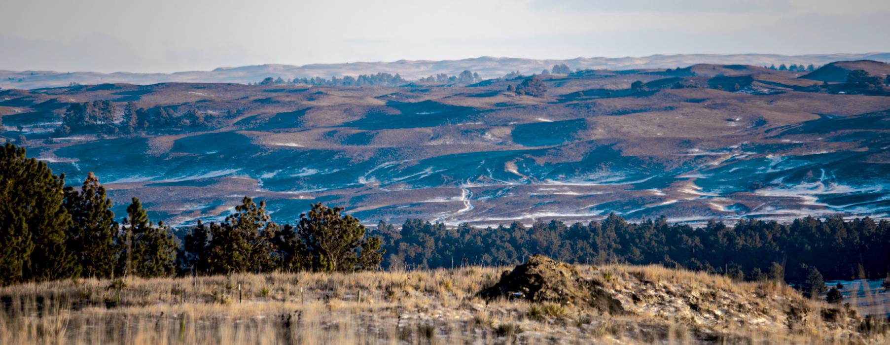 The Sandhills are blackened after Thursday’s fire roared through the river valley after a mighty high wind event. Prayers for moisture!