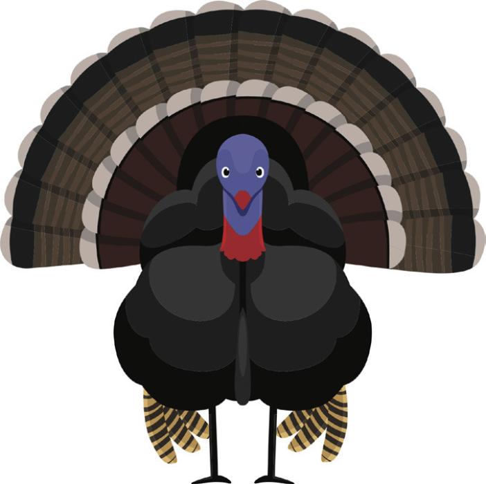 The Gobbler’s Trail: A Sandhills Thanksgiving Whodunit