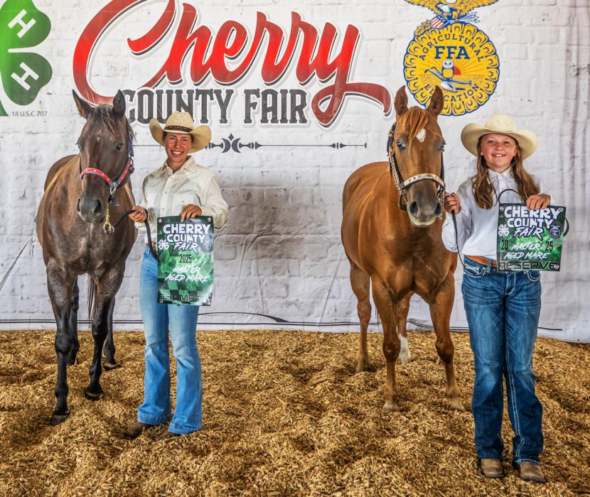 Halter Aged Mare Champion Annalena Nelson, Reserve Katie Schumacher.