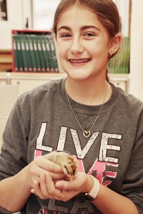 Eighth grade classmate Jenna Hanson brought knowledge to the classroom with a lesson in chick hatching! Photos by Tina Boone