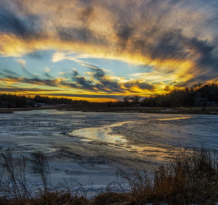 Photo by Laura Vroman