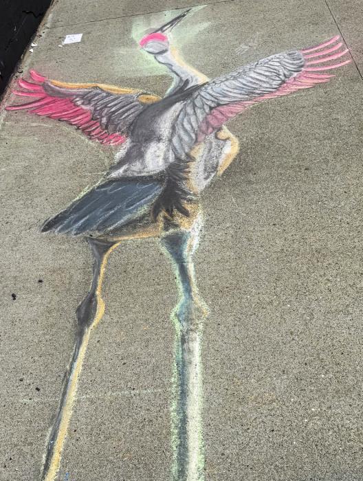 Sidewalk chalk art! Crazy Days for sure!