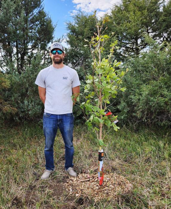 James Battershaw is standing by a Flash Fire Maple tree that was planted at Harmony Cemetery.