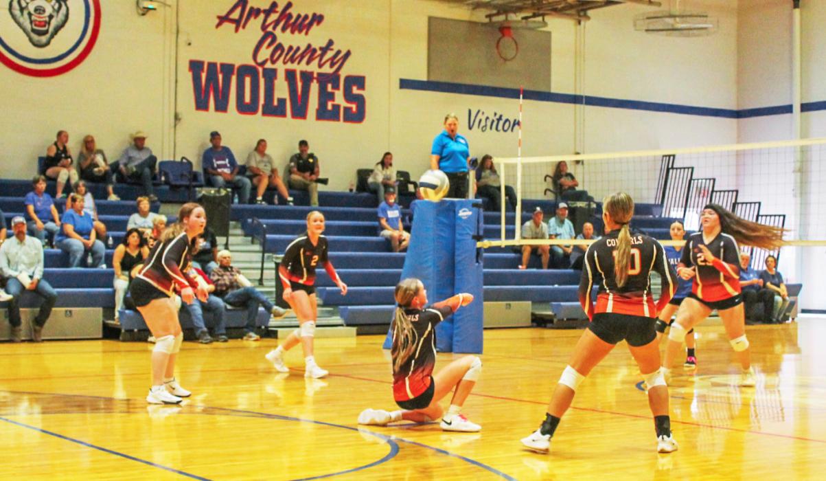 CK sophomore Lilly Ravenscroft makes a dig for the Cowgirls as her teammates Jo Besco, Kayleigh Ravenscroft, Rachael Farley, and Aubryanna Schmit wait to set up a rally during volleyball action against the Wallace Wildcats at the Arthur Triangular in Arthur, NE. The Wildcats defeated the Cowgirls 2-0. Up next for the Cowgirls will be a Homecoming matchup against the Oelrichs Tigers in Cody, Friday, September 12, 2025. Photo by Kynzee McConaughey CKBeat