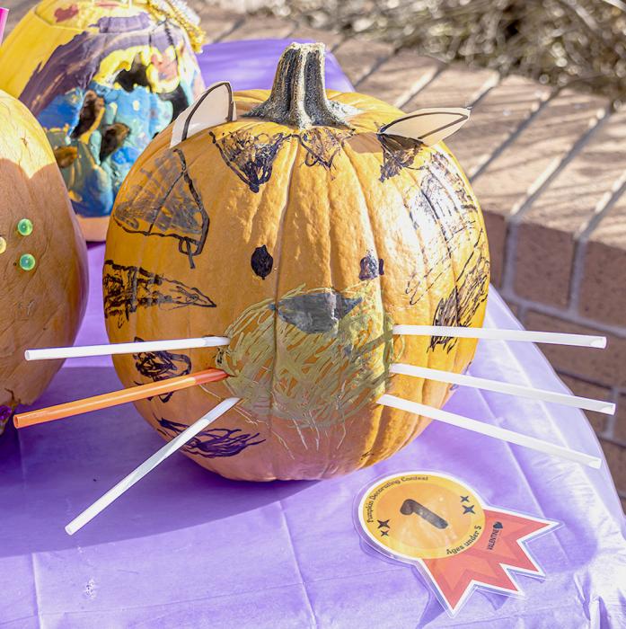 Friends of the Valentine Public Library will be hosting a pumpkin decorating contest for Halloween and Scare in the Square!