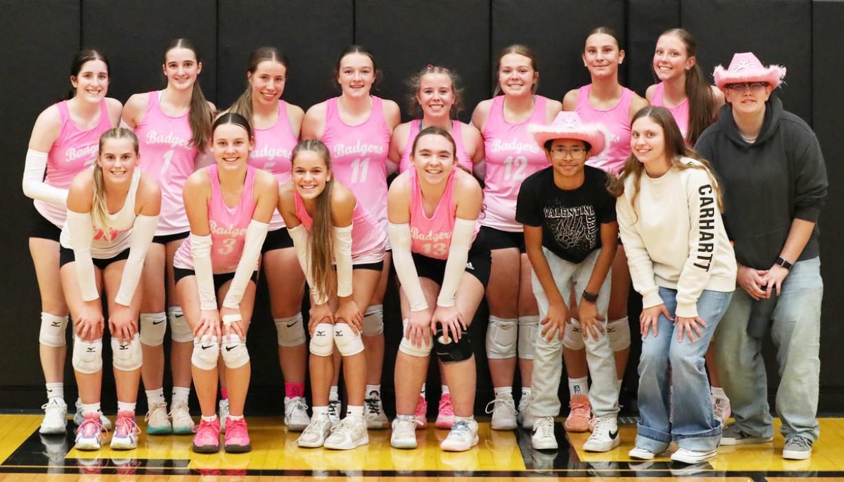 Lady Badgers to host sub-district play