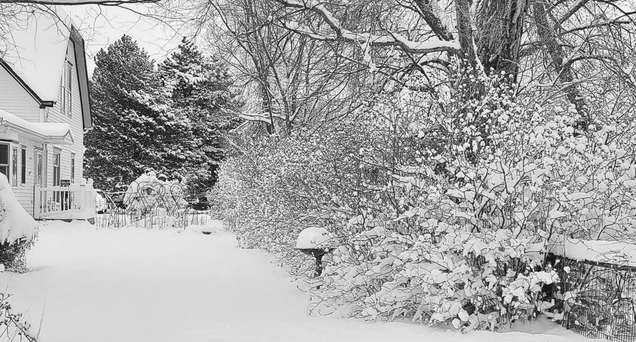 Photos by Laura Vroman