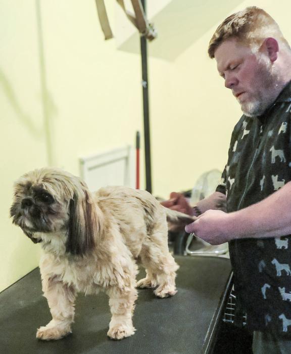 Derick Hicks is seen grooming a pup’s fluffy tail, and he also grooms cats. Photo by Tina Boone