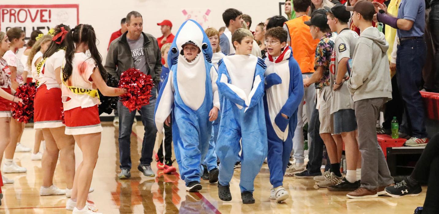 Amazing crowd participation from baby sharks to cheerleaders the atmosphere was electric!!