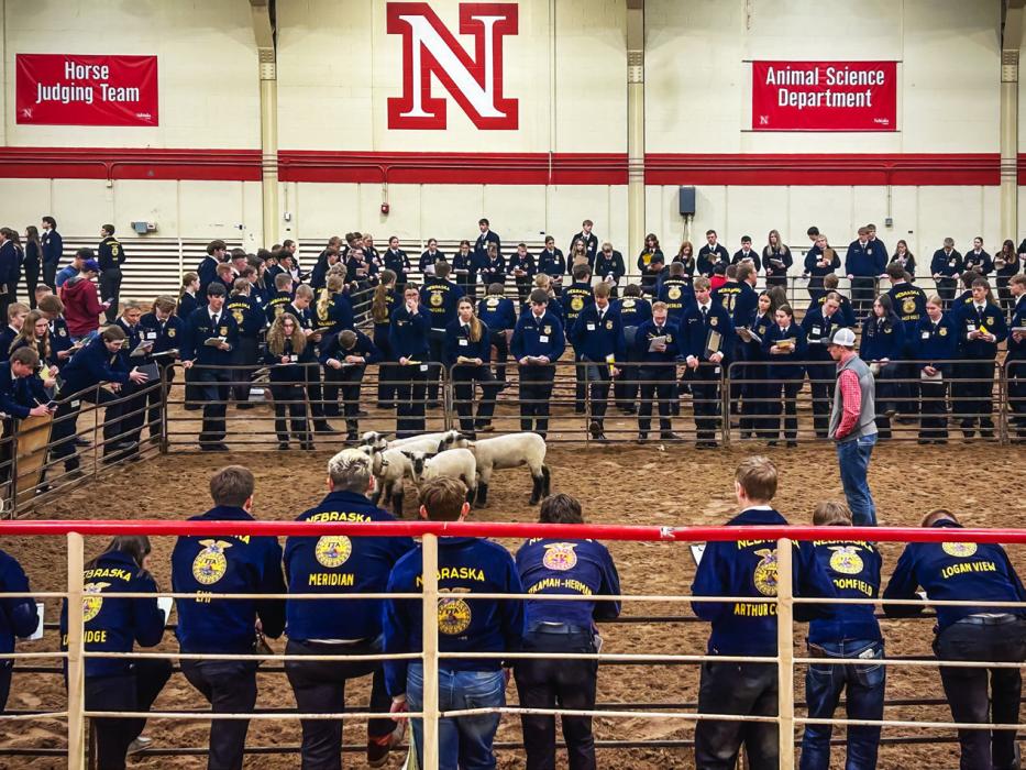 Livestock judging contest at UNL East Campus! Photo by Nina Maria Nelson
