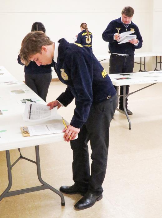 Students are doing an agronomy quiz inside the Cherry County 4-H Building. They are identifying seeds - some of which had been dyed to make identification more challenging for them.