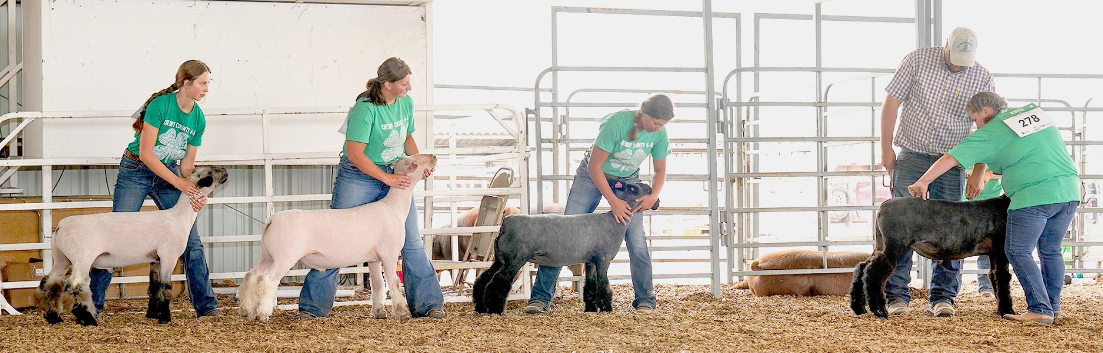 Cherry County Fair Round Robin results