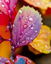 Refreshing rain fall!!!!