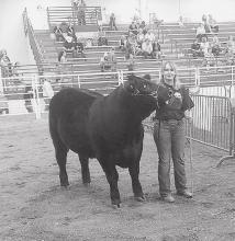 Area youth has Champion Carcass Steer at Junior National Show