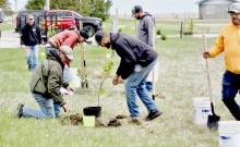Fallen Hero Tree plantings at Mount Hope Cemetery in Valentine