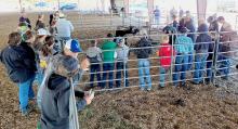 Annual Cherry County Livestock Judging results
