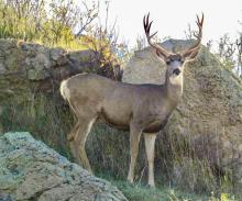 Who are you lookin’ for? Photo by Tina Boone