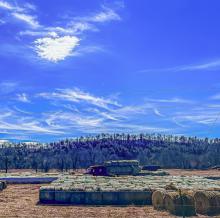 Watching caravans of hay roll into the Niobrara Valley has been a powerful reminder of the resilience and compassion rooted in this community - punctuated with a heart over the hay yard! Photo by Tina Boone