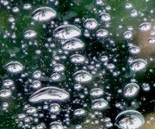 Record setting rain!!!