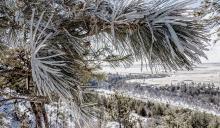 Really, Mother Nature?