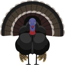 The Gobbler’s Trail: A Sandhills Thanksgiving Whodunit