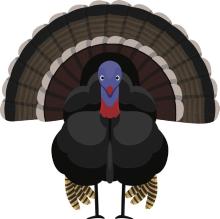 The Gobbler’s Trail: A Sandhills Thanksgiving Whodunit