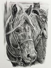 June Art Show at the Valentine Public Library, with a special meet the artist reception June 30, 2025, from 1:00-2:30 p.m. for June artist Susan Reendeers McNaught. It is hosted by Sand Painters Art Club and Valentine Public Library. Everyone is invited to attend.