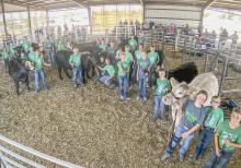 The ring was full with 10 fitting teams this year!