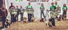 There were many Champions and Reserve Champions in the 4-H Dog Show. Photos by Tina Boone