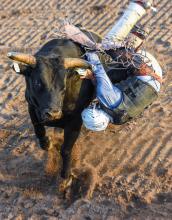 What a wild ride at the Nebraska State Fair