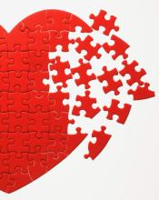 Putting the pieces together at the Jigsaw Puzzle Competition