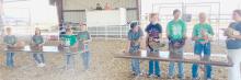Poultry competitors are pictured from L to R: Clover Kid helper Cormac Coleman, Charlotte Coleman, Leadie Robinson, Carson Walkling, Addie Sexson, helper Ayden Naslund, Rylie Sexson, Christen Larson, helper Jenalee Garwood who was also an egg exhibitor.