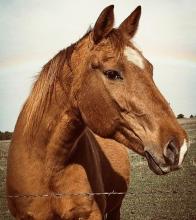 In her calm eyes and steady presence, we’re reminded why vigilance and care matter - every single day. Photo by Tina Boone
