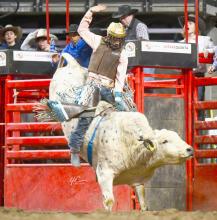 Peyton Sterkel at the Sutton Rodeo Wrangler 20x High School Invitational. Photo by 4C Photography