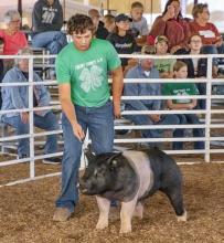 Champion, Jenessa Garwood for her bucket calf. Photos by Tina Boone