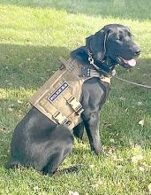 K9 Baker.