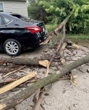 Cindy Williams’ vehicle was impacted by this tree which smashed out her back window. Photo by Cindy Williams