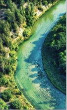 The Niobrara River on an early autumn morning! Do you see the two kayakers enjoying the currents? Photo by Laura Vroman