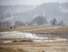 Monday, March 25, 2024, was a slippery one with ice accumulation under the snow. In all, the blizzard that wasn’t delivered 1.4 inches of snow that Monday, with 45 mph wind gusts. Photo by Laura Vroman