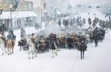 History walked down Valentine’s Main Street on November 11, 2000 when the Longhorns were moved from Fort Niobrara National Wildlife Refuge to Fort Robinson. The move took eight days as the cattle were driven overland a distance of 180 miles in the cold and snow. Photo by Laura Vroman