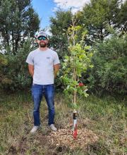 James Battershaw is standing by a Flash Fire Maple tree that was planted at Harmony Cemetery.