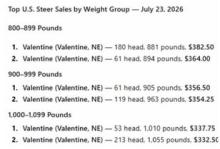 Valentine Livestock