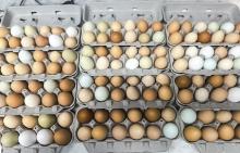 EGG-Zackly!!!!