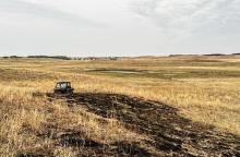 Nebraska Recovery Roundup: Should I reseed on Sandhills rangeland following a wildfire?