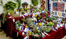 Using the power of your imagination, look at these wonderfully colorful flowers and plants that have been grown in Cherry County!