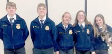 VHS CDE teams
