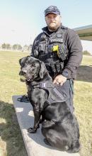 K-9 Baker and Officer Brandon Ormesher are pictured above. K-9 Baker joined the Valentine Police Department in October and was certified in January. Below, K-9 Baker alerts to Ormesher that he’s found something - a plastic gun, in this case - used for training purposes. Photos by Laura Vroman