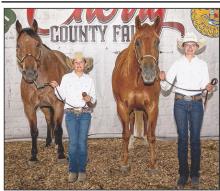 Millie Kime showed the Champion Aged Geldi_ Kime was Reserve Champion.